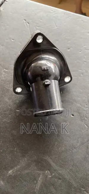 Tundra, Sequoia, Land Cruiser Thermostat