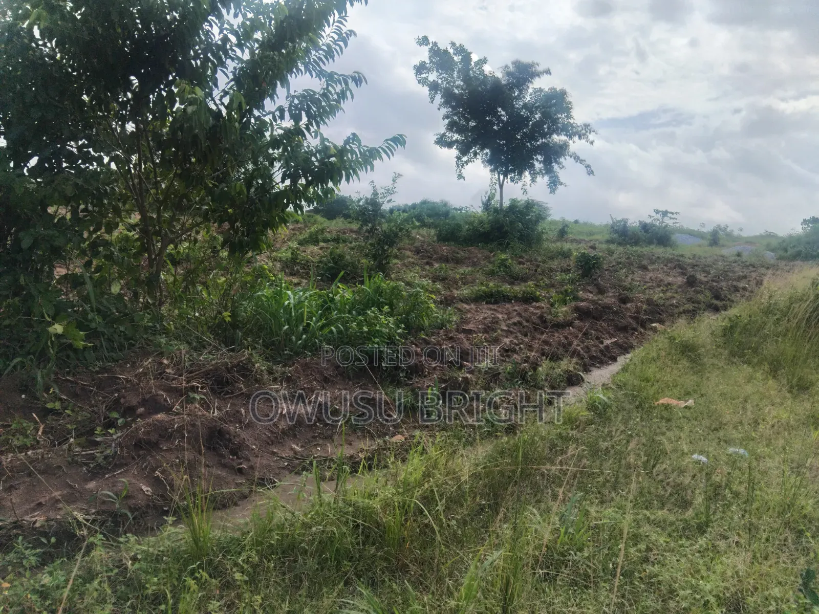 Lands for Sale