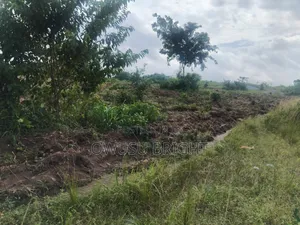Lands for Sale