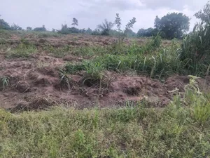 Lands for Sale