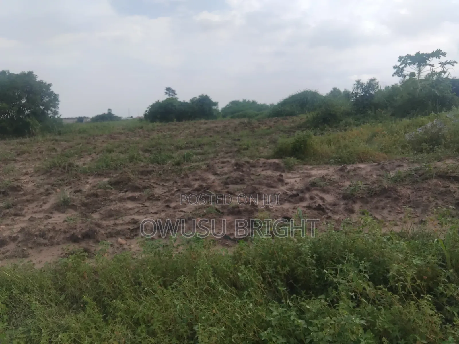 Lands for Sale
