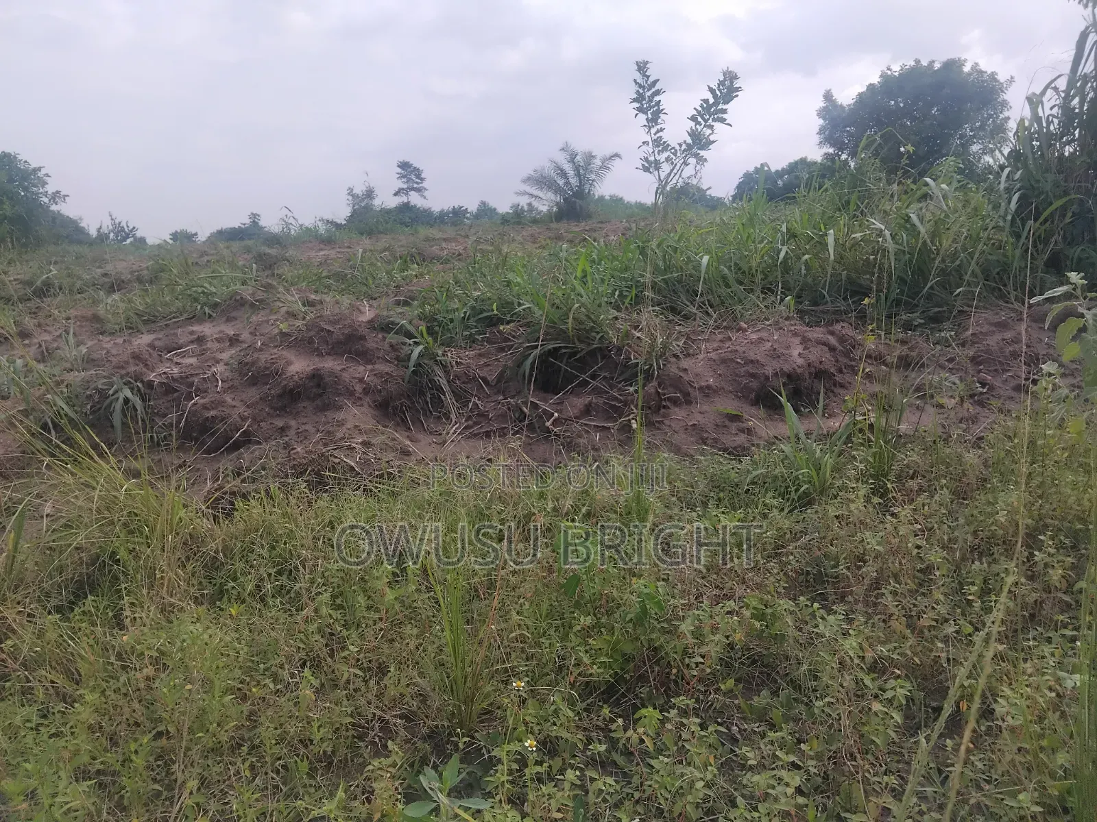 Lands for Sale