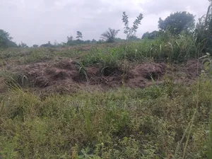 Lands for Sale