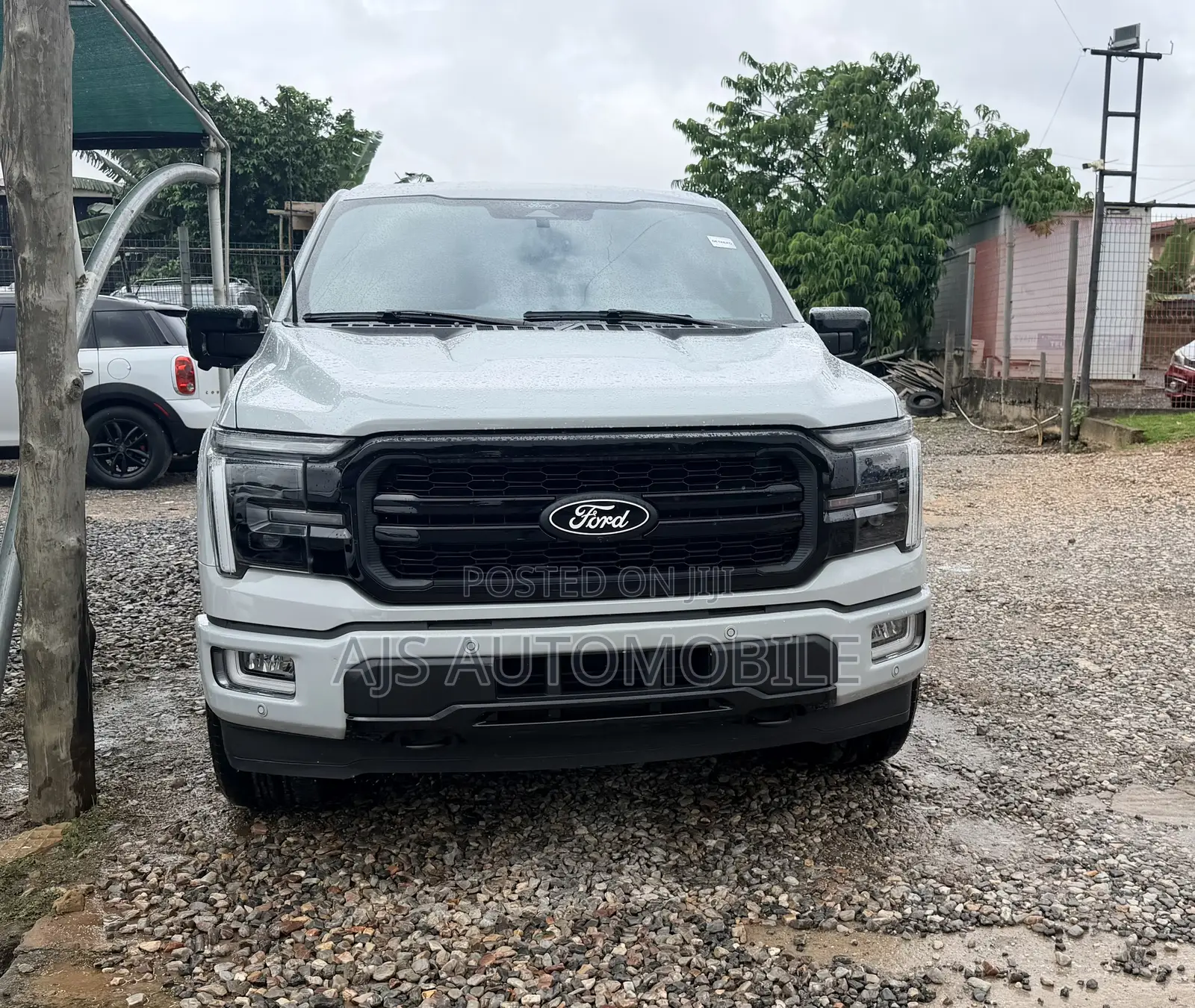 Ford F-150 LARIAT 2024 Gray