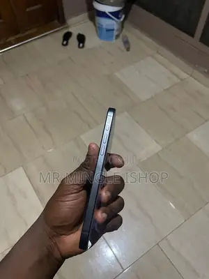 Apple iPhone 15 Pro Max 256 GB Black