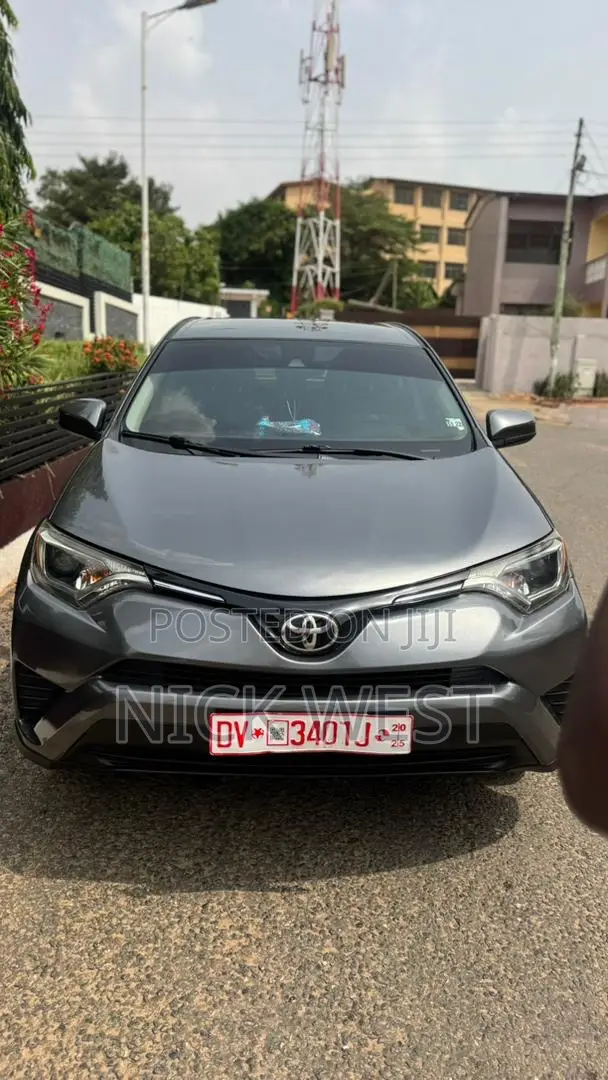 Toyota RAV4 LE 4dr SUV (2.5L 4cyl 6A) 2018 Gray