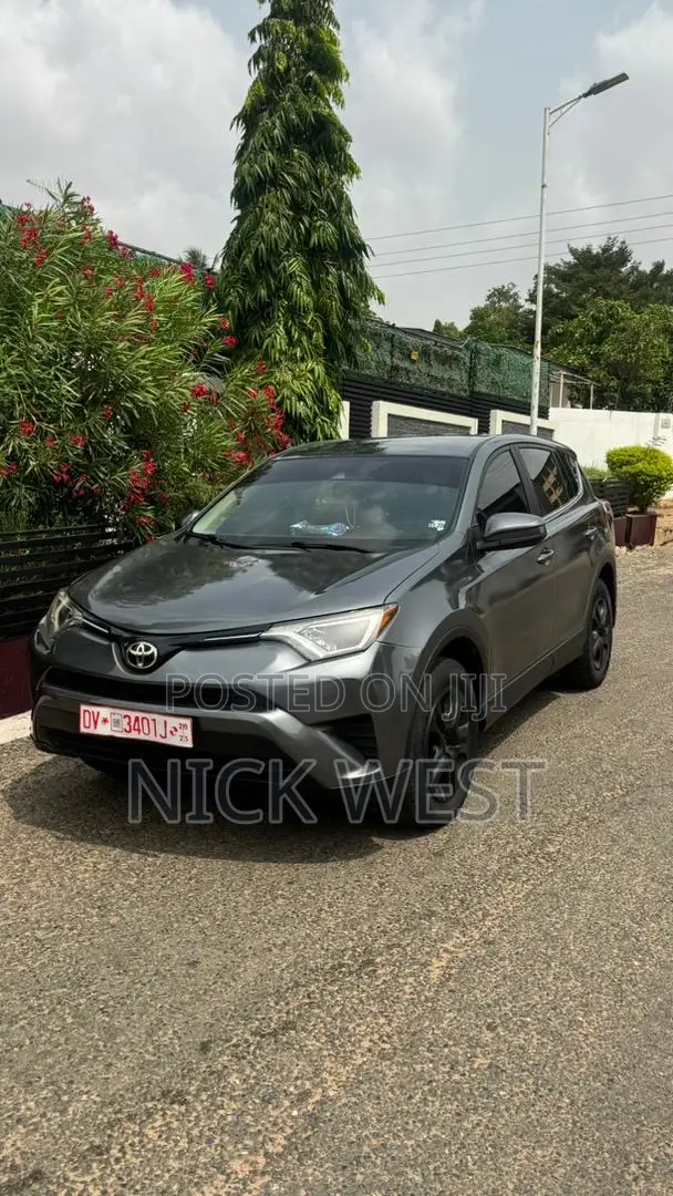 Toyota RAV4 LE 4dr SUV (2.5L 4cyl 6A) 2018 Gray
