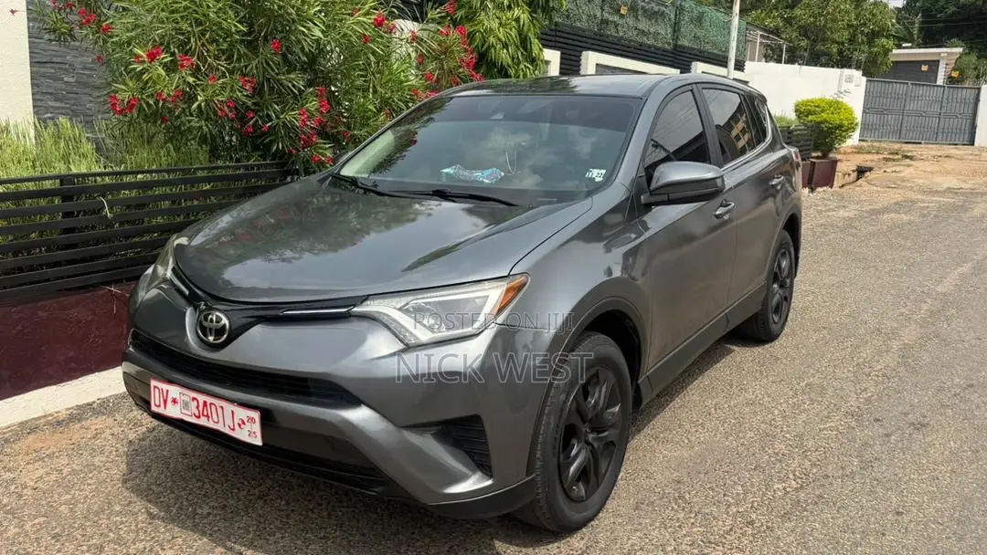Toyota RAV4 LE 4dr SUV (2.5L 4cyl 6A) 2018 Gray