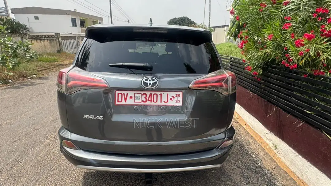 Toyota RAV4 LE 4dr SUV (2.5L 4cyl 6A) 2018 Gray