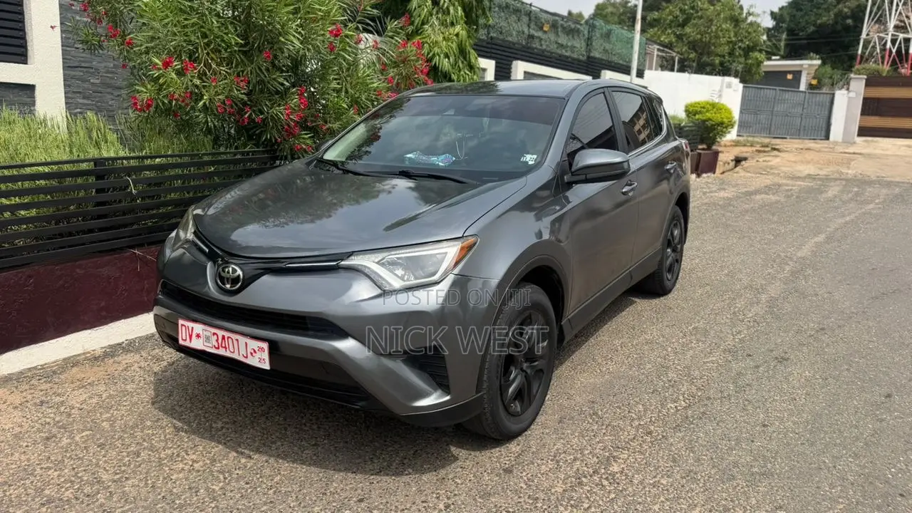 Toyota RAV4 LE 4dr SUV (2.5L 4cyl 6A) 2018 Gray