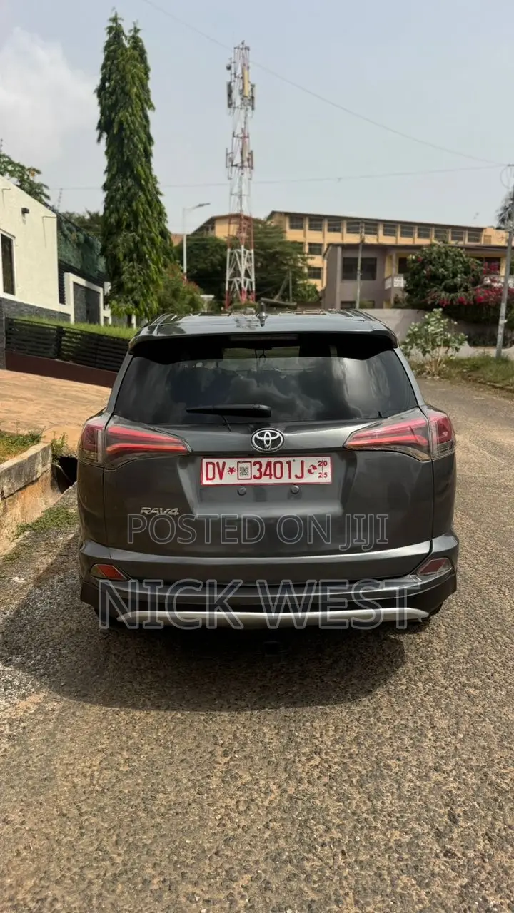 Toyota RAV4 LE 4dr SUV (2.5L 4cyl 6A) 2018 Gray