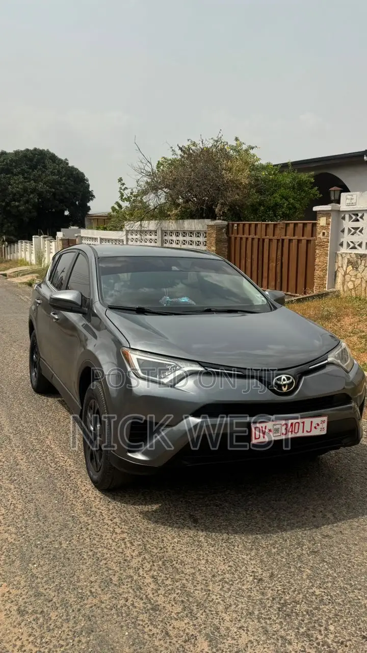 Toyota RAV4 LE 4dr SUV (2.5L 4cyl 6A) 2018 Gray