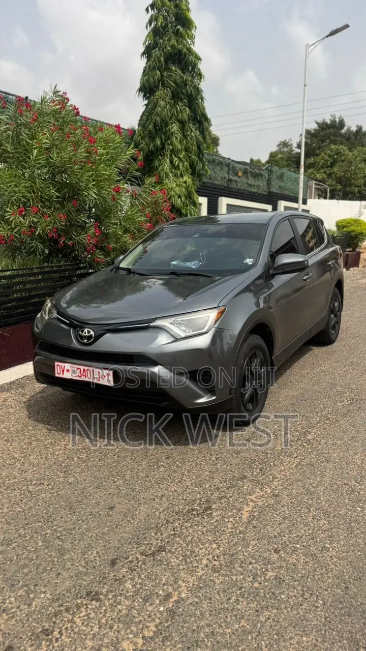 Toyota RAV4 LE 4dr SUV (2.5L 4cyl 6A) 2018 Gray