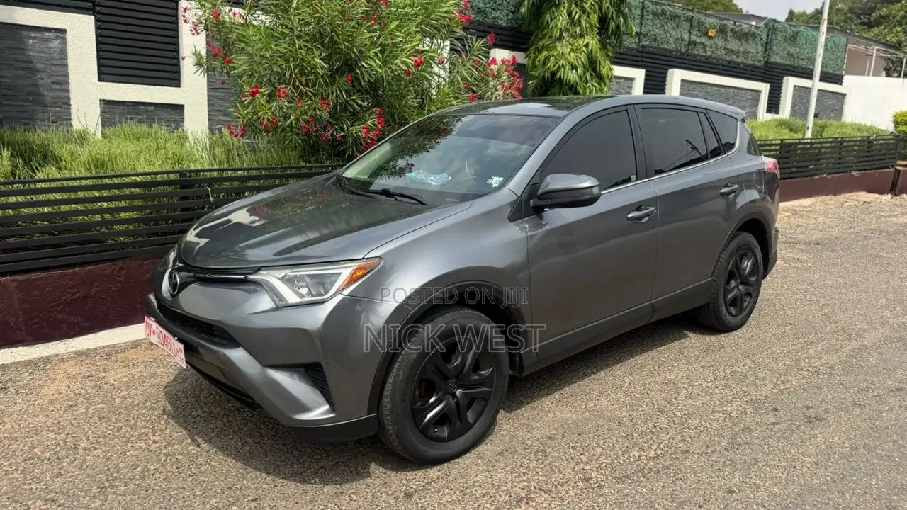 Toyota RAV4 LE 4dr SUV (2.5L 4cyl 6A) 2018 Gray