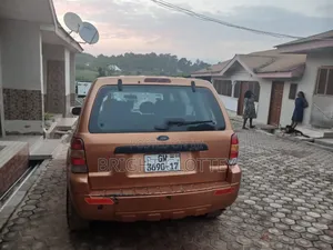 Ford Escape 2008 Orange