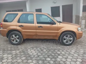 Ford Escape 2008 Orange