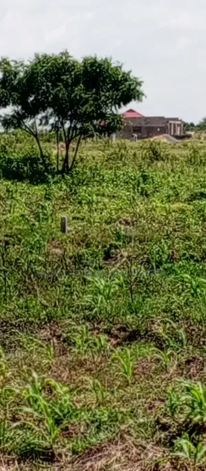 Land For Sale Just After Asutsuare Barrier