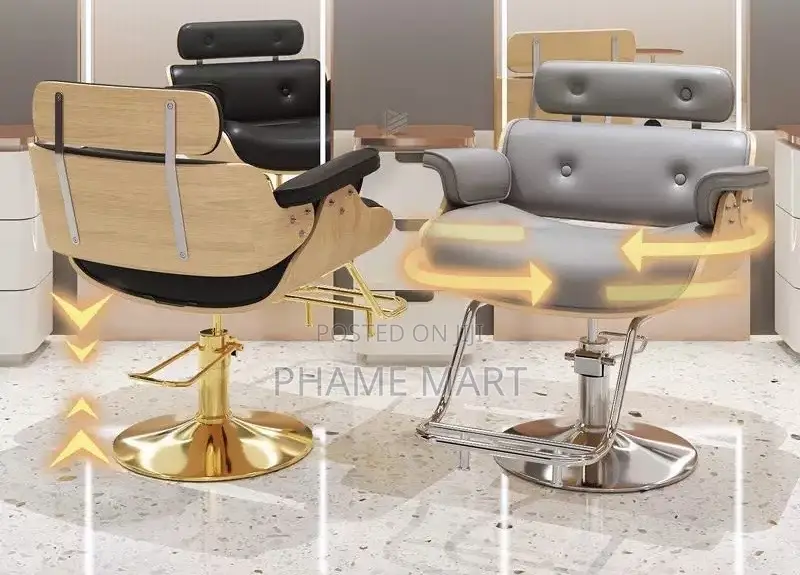 Salon Chair