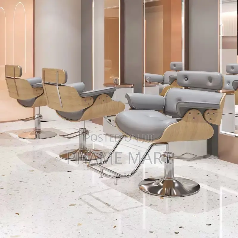 Salon Chair