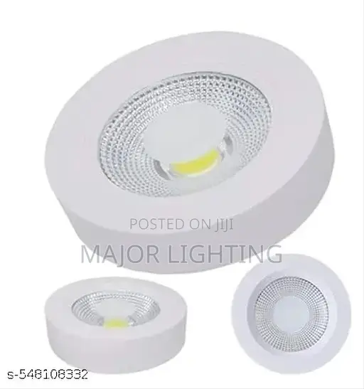 Cob Light 30 Watts