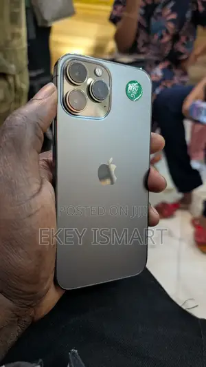 Apple iPhone 13 Pro Max 128 GB Gray