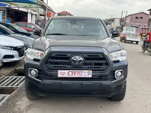 Toyota Tacoma TRD Off Road 2019 Gray