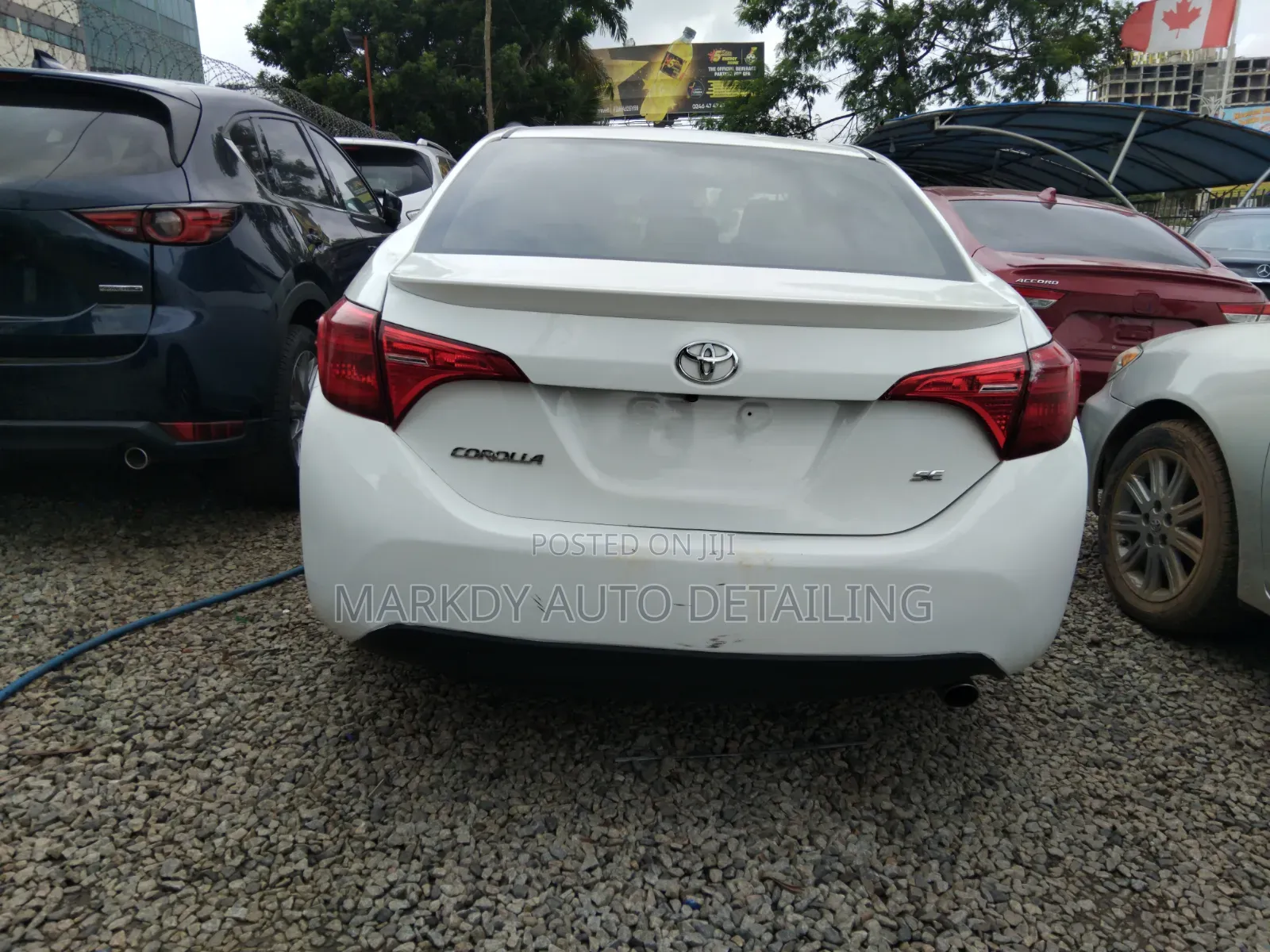 Toyota Corolla 2019 White