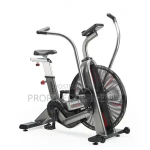 Assault Air Stationary Exercise Bike