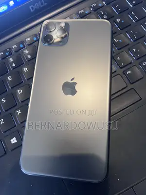 Apple iPhone 11 Pro Max 256 GB Gray