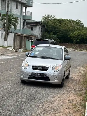 Kia Picanto 2010 Gray