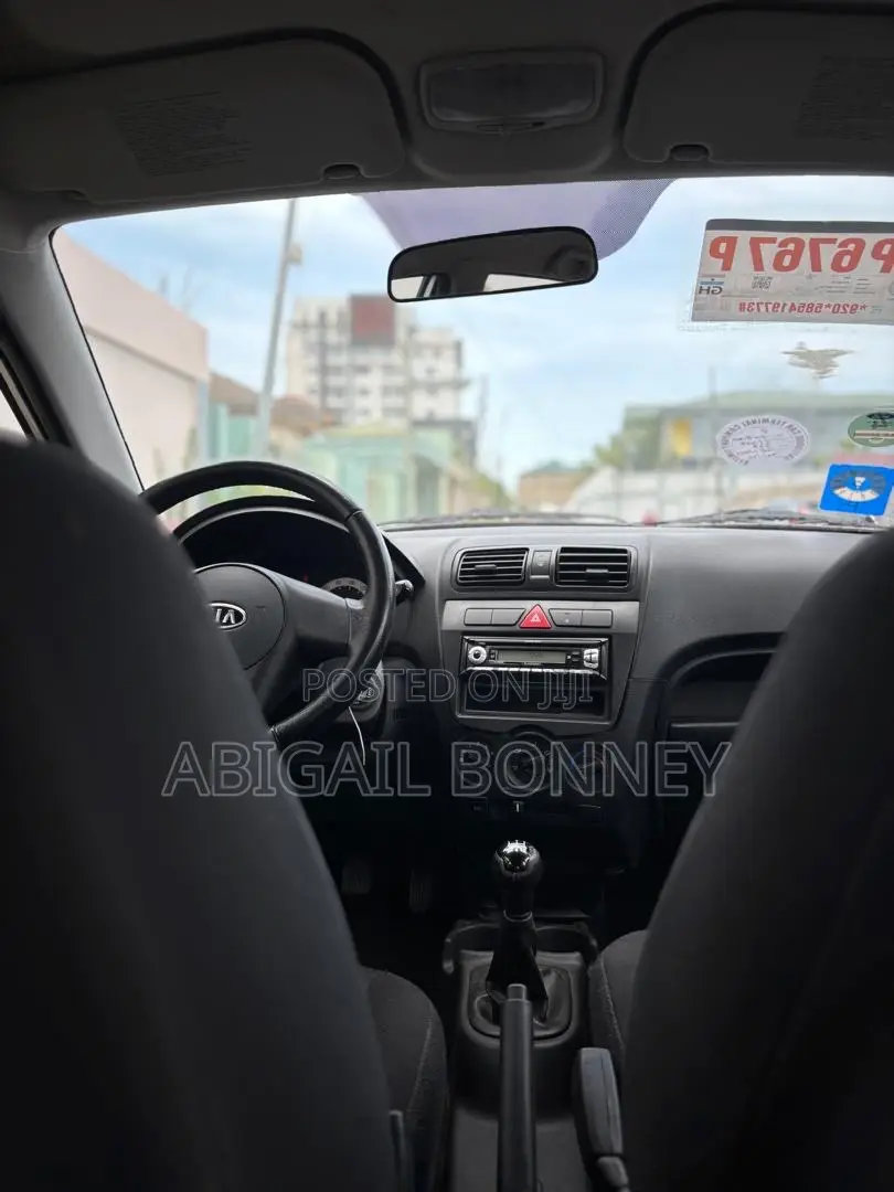 Kia Picanto 2010 Gray