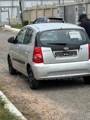 Kia Picanto 2010 Gray