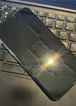 Apple iPhone 11 Pro Max 256 GB Gray
