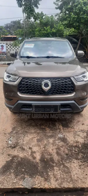 Great Wall King Kong Poer 2022 Brown