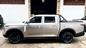 New Nissan Z9 2.0T Petrol 4WD 2025 Gold