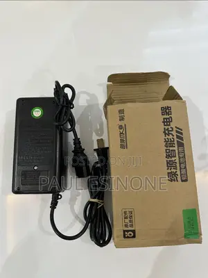 Electric Bike Acid Batteries Charger 60v