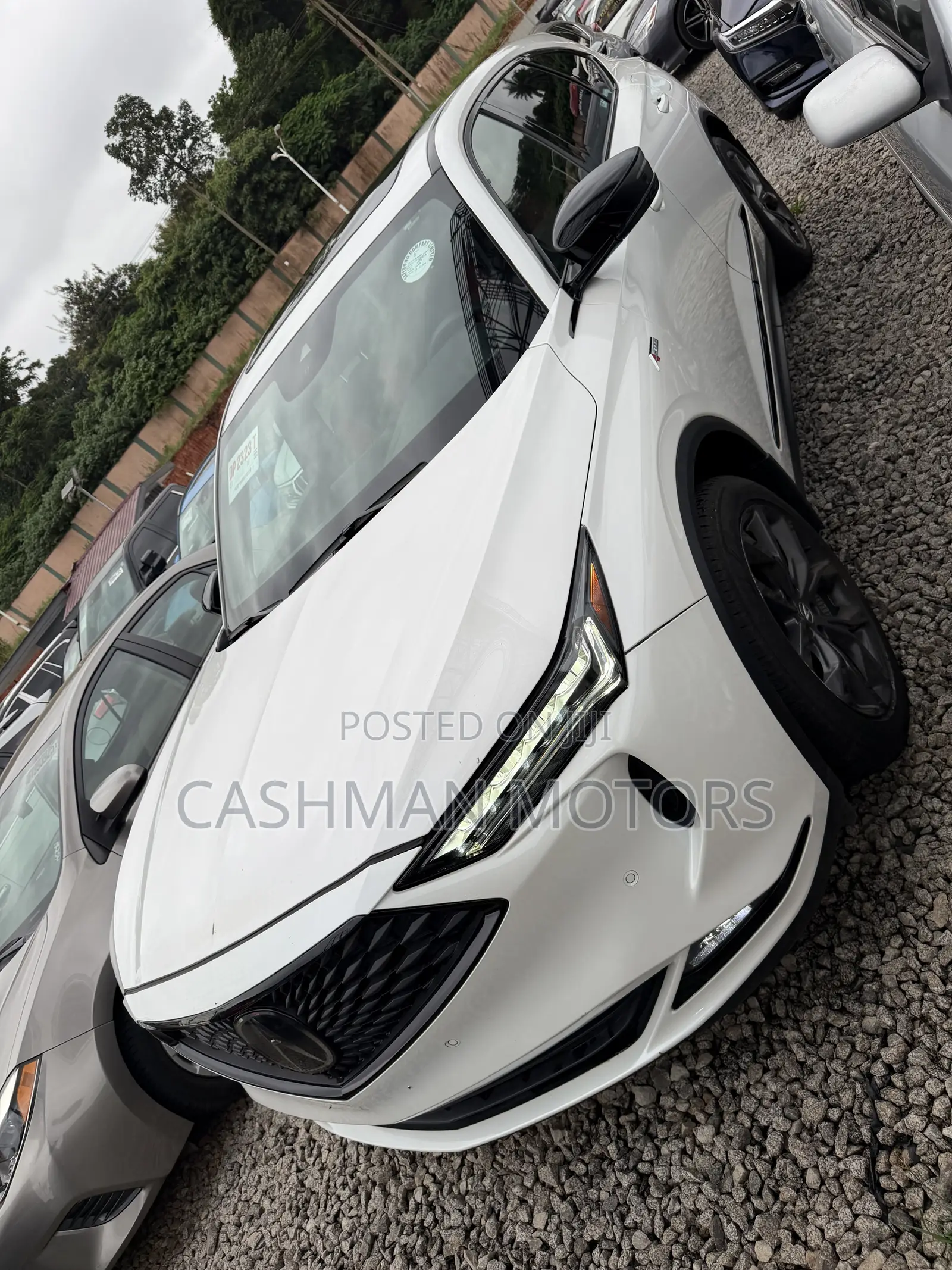 Acura MDX 2024 White
