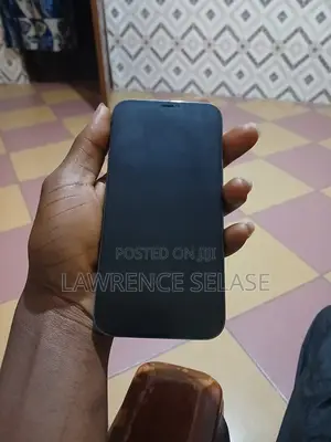 Apple iPhone 12 Pro Max 128 GB Black