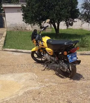 Royal Motorcycle 2025 Yellow