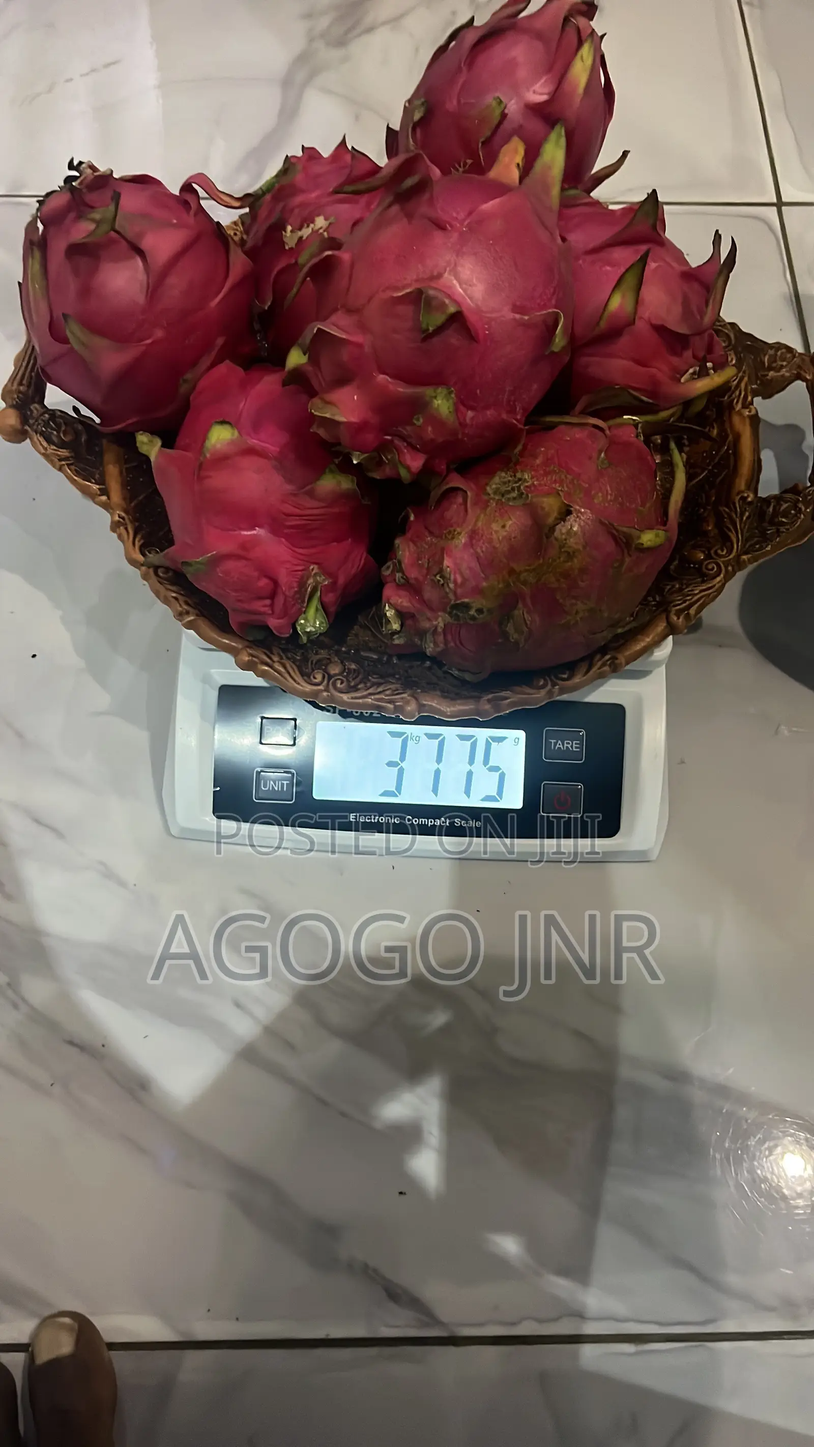 Dragon Fruit and Cuttings