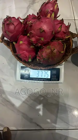 Dragon Fruit and Cuttings