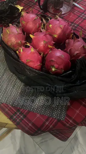 Dragon Fruit and Cuttings