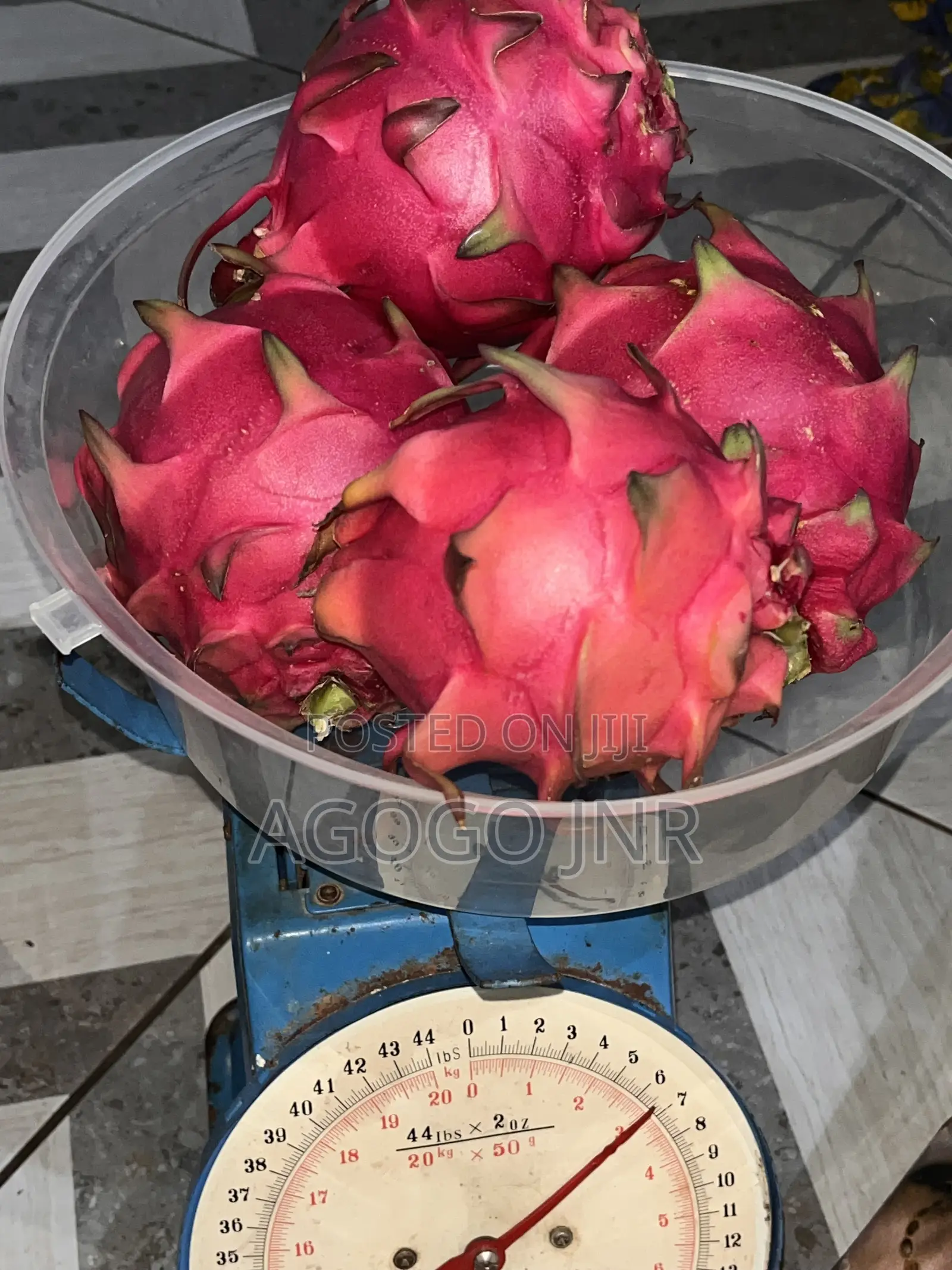 Dragon Fruit and Cuttings