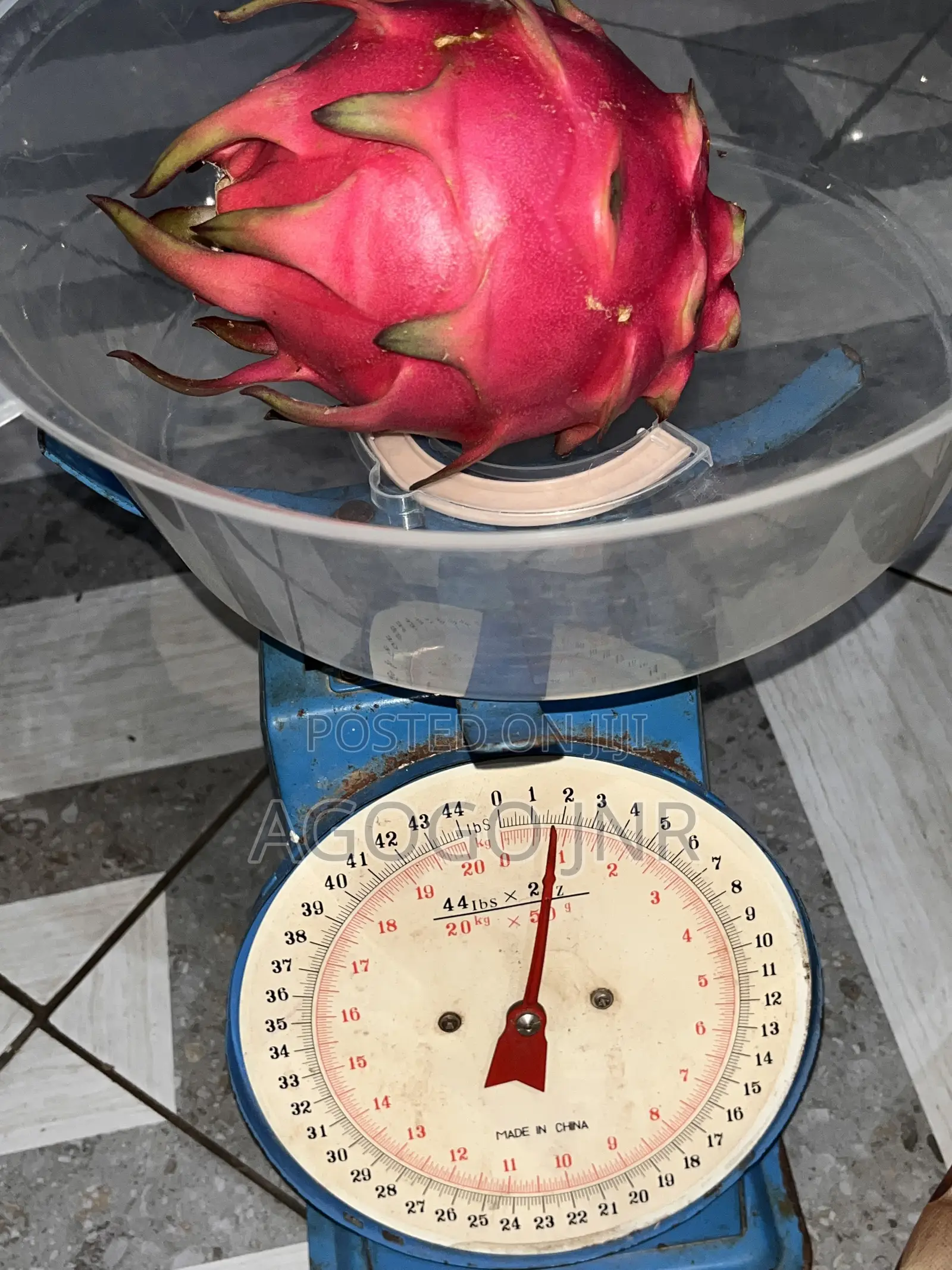 Dragon Fruit and Cuttings