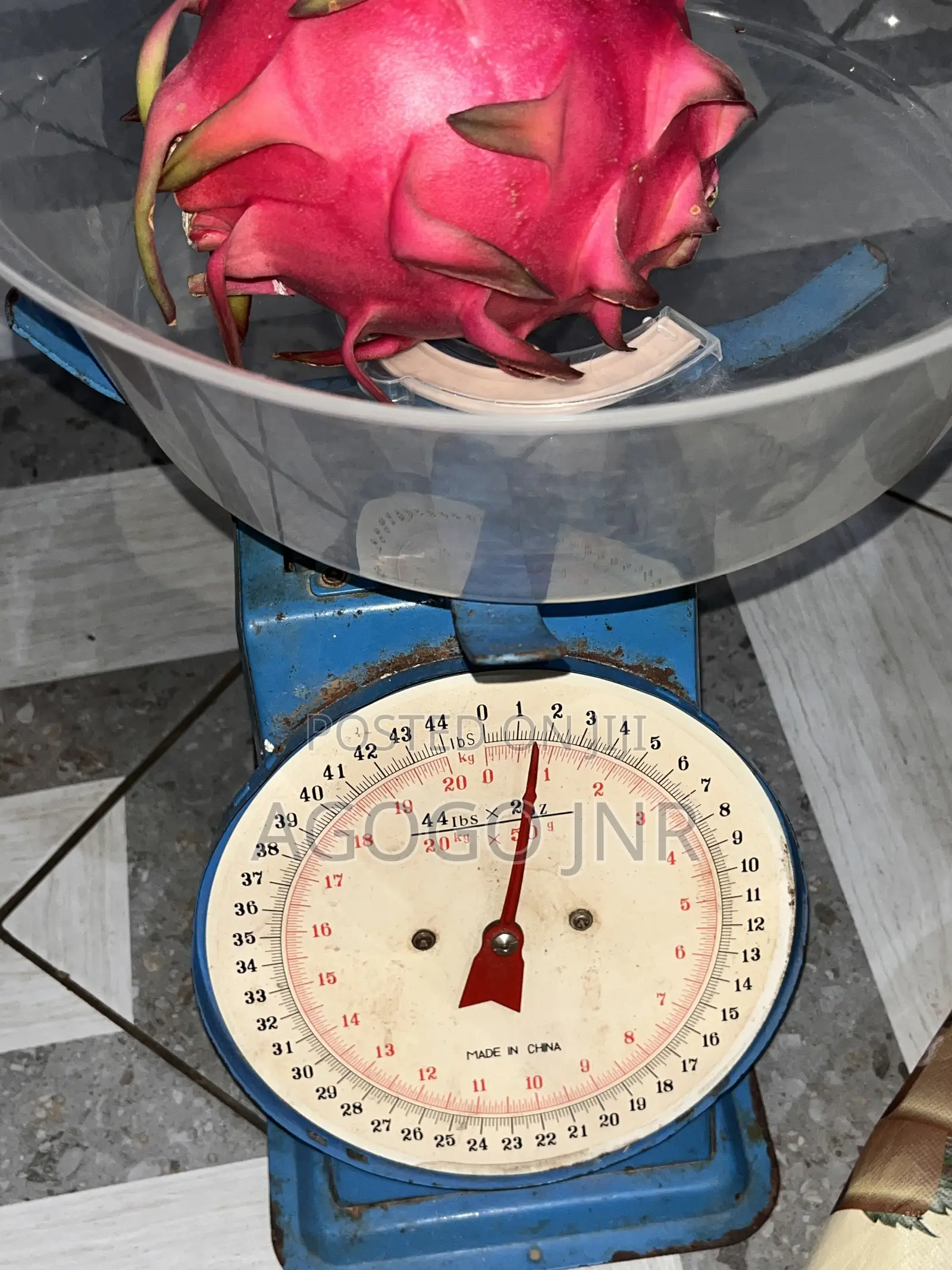 Dragon Fruit and Cuttings