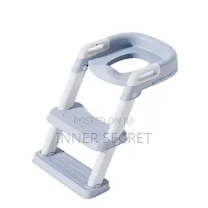 Potty Training Chair