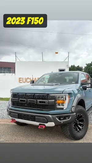 Ford F-150 Raptor 2023 Gray