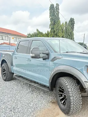 Ford F-150 Raptor 2023 Gray