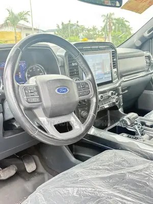 Ford F-150 Raptor 2023 Gray