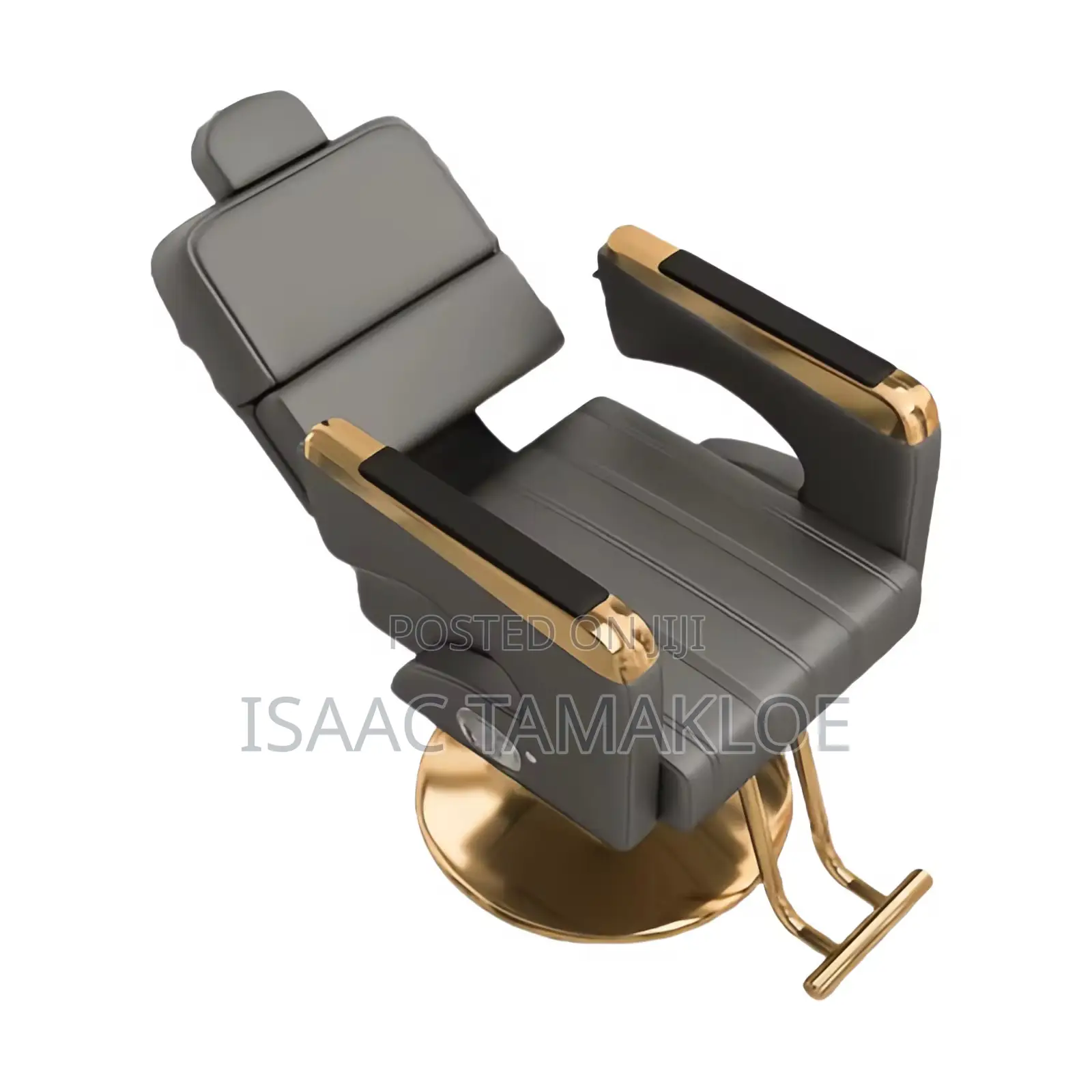 Professional Salon and Barber Chair